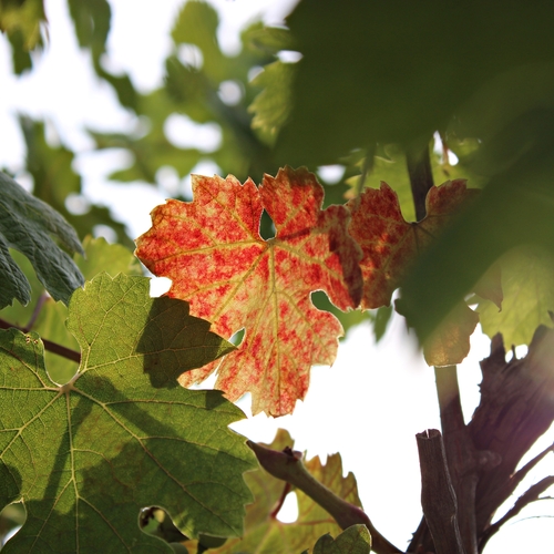 Photo #14092805