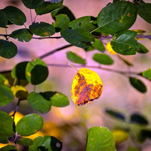 Photo #14092808