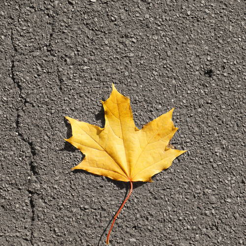 Photo #14092812