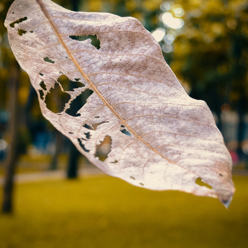 Photo #14092820
