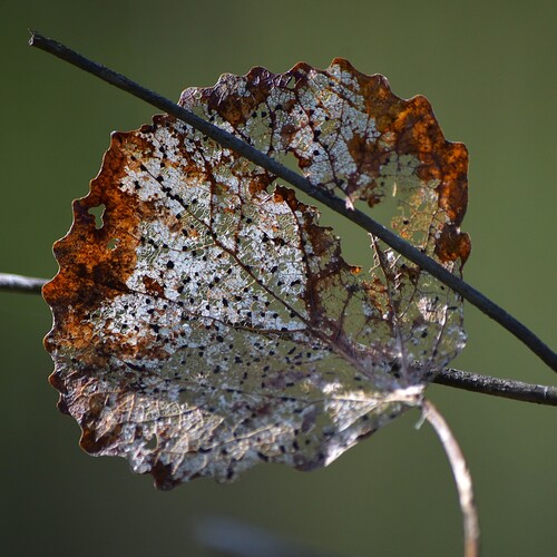 Photo #14092834