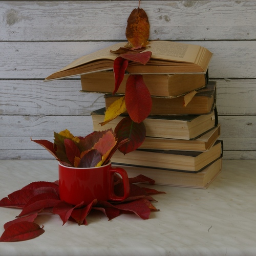Photo #14092841
