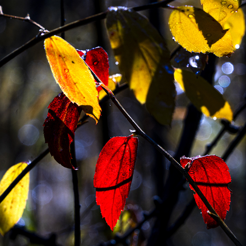 Photo #14092856
