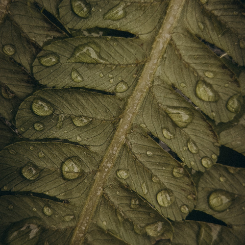 Photo #14092869