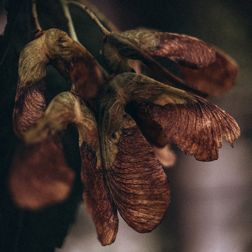 Photo #14092870