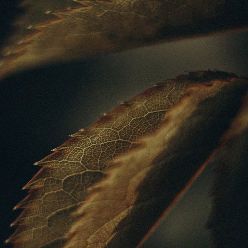 Photo #14092875