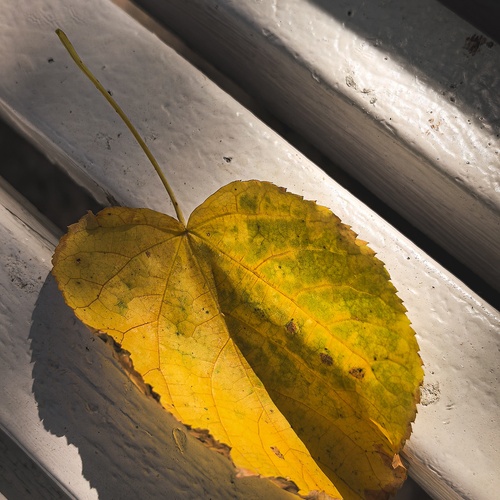 Photo #14092960