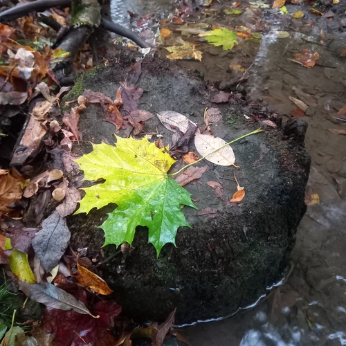 Photo #14092992