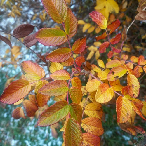 Photo #14092996