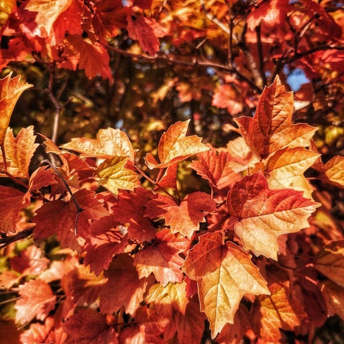 Photo #14093033