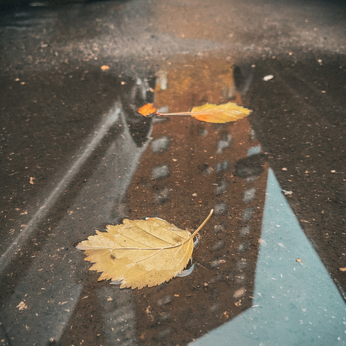 Photo #14093079