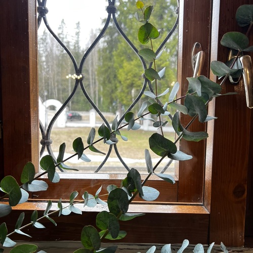 Photo #14093088
