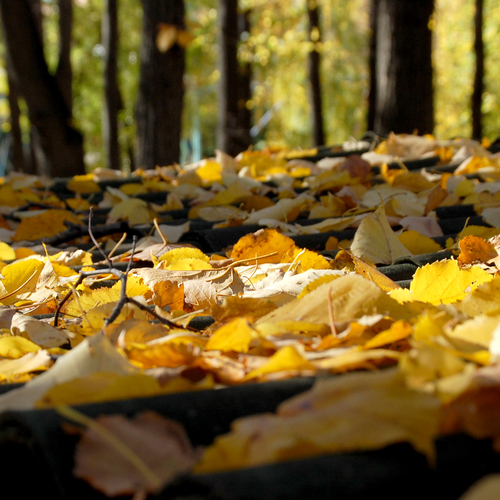 Photo #14093205