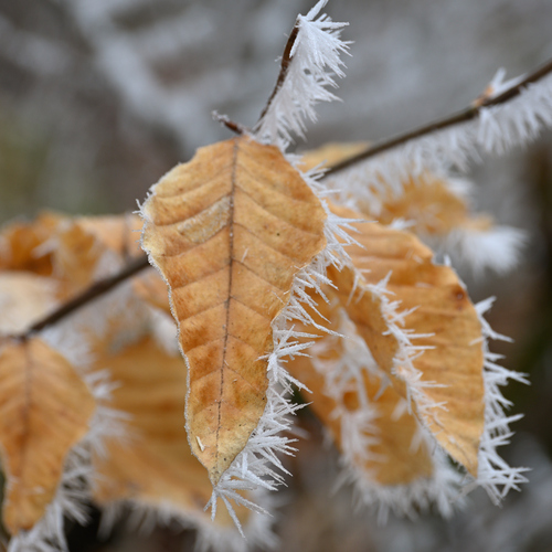 Photo #14093243