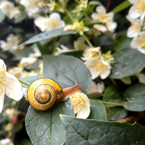 Photo #14093286