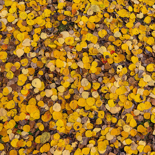 Photo #14093317