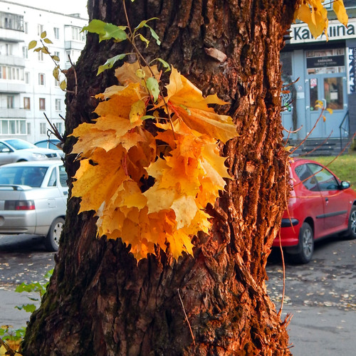 Photo #14093366