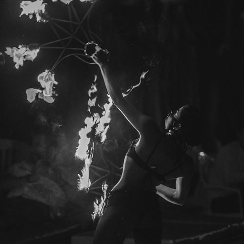 Photo #14093376