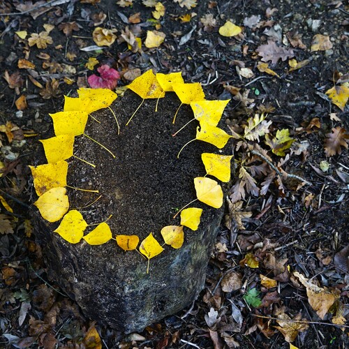 Photo #14093430