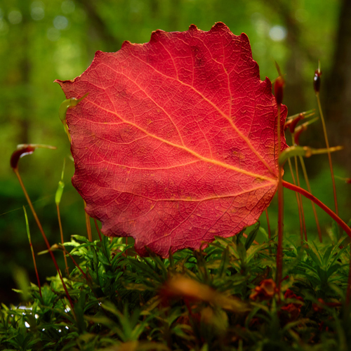 Photo #14093438