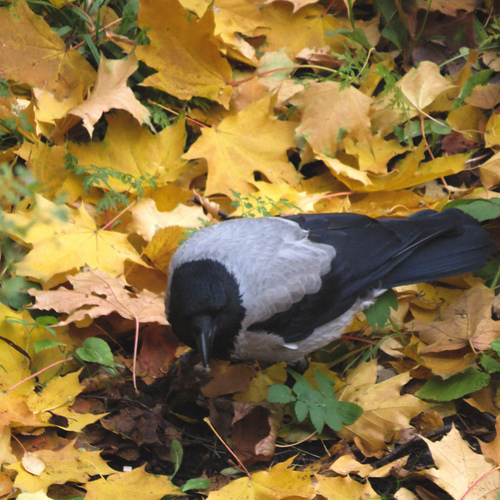 Photo #14093476
