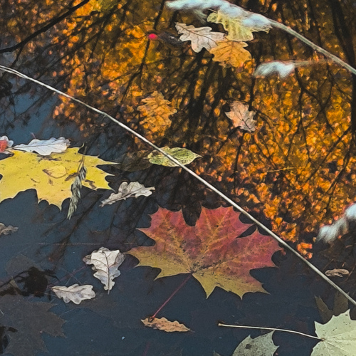 Photo #14093477