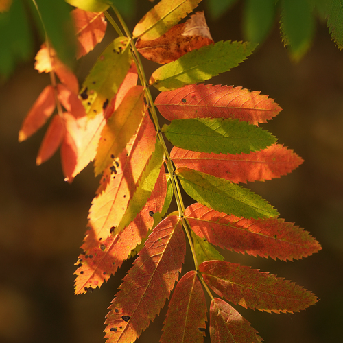 Photo #14093497