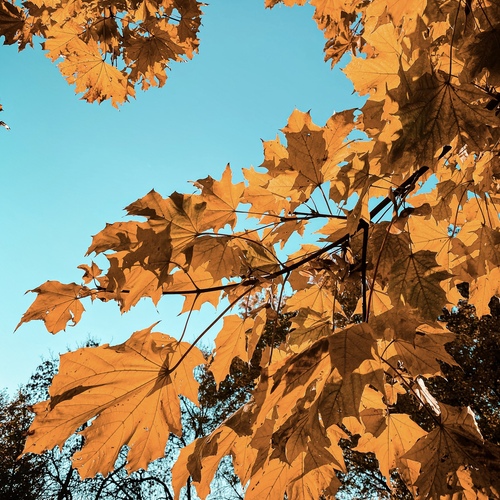 Photo #14093508