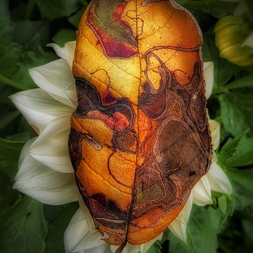 Photo #14093533