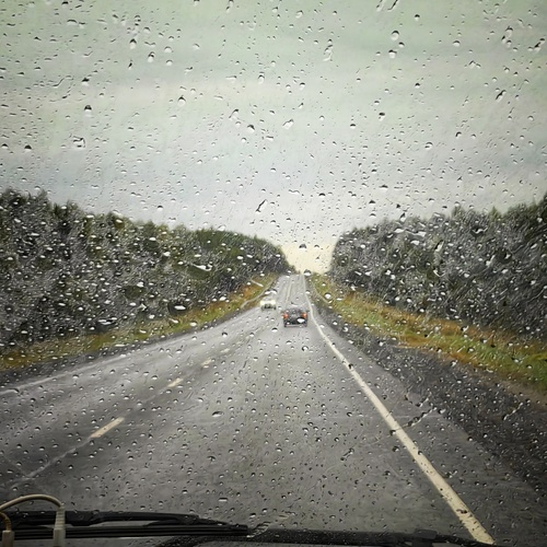 Photo #14093578