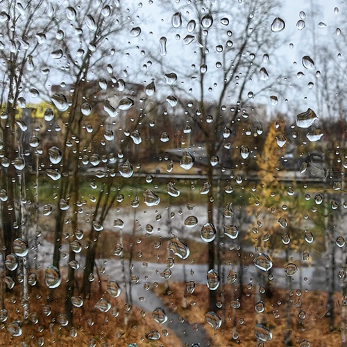 Photo #14093588