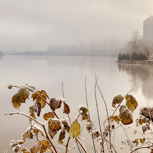 Photo #14093595