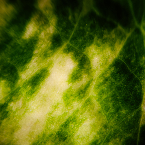 Photo #14093626