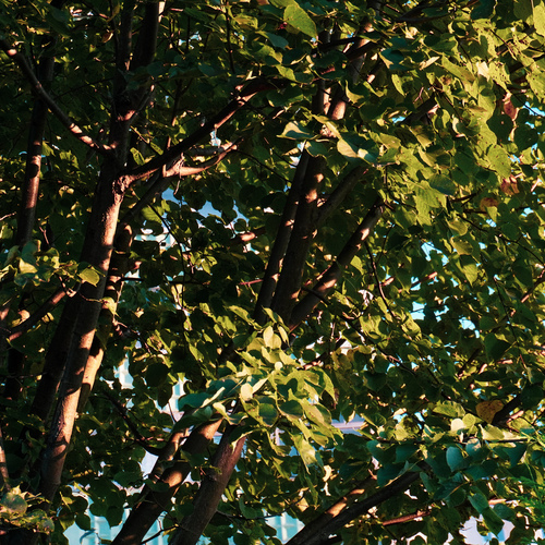 Photo #14093628