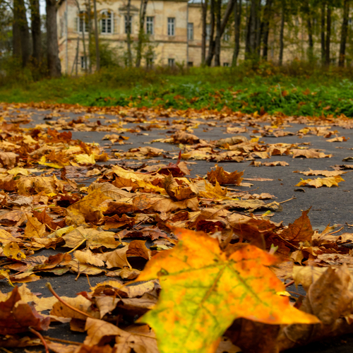 Photo #14093632