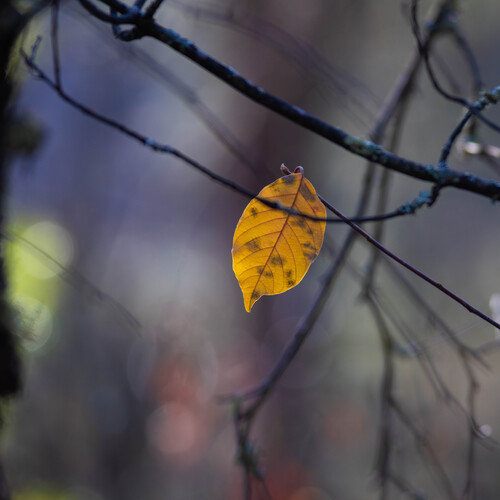 Photo #14093638