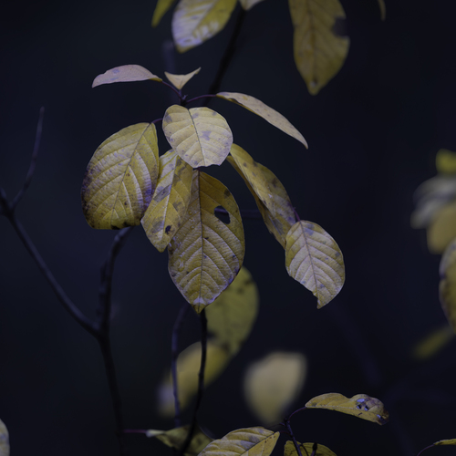 Photo #14093640