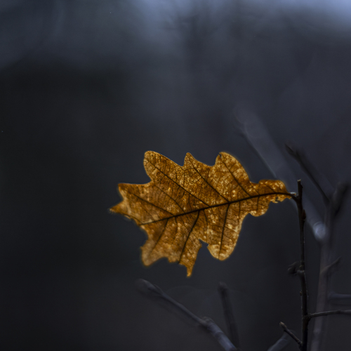 Photo #14093641
