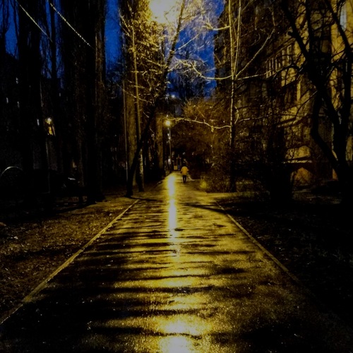 Photo #14093662