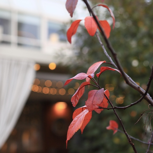 Photo #14093697