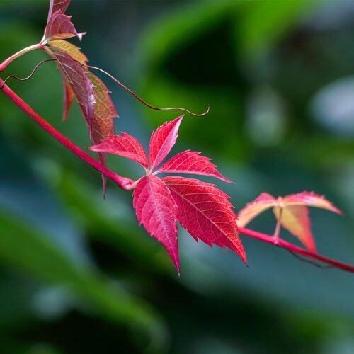 Photo #14093706