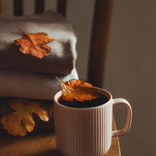 Photo #14093735