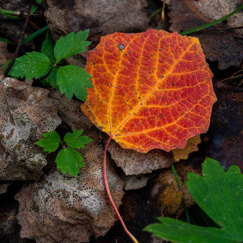 Photo #14093747
