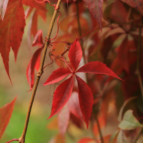 Photo #14093771