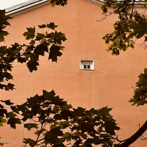 Photo #14093781
