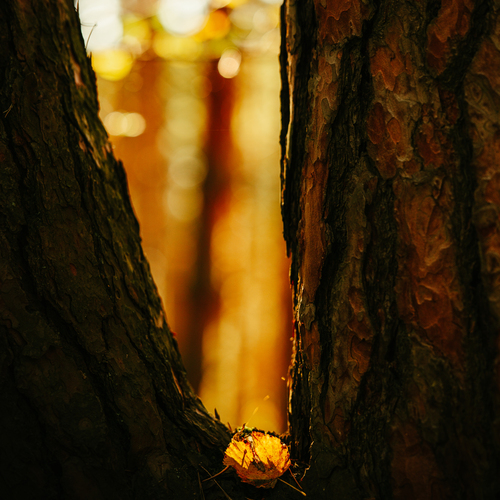 Photo #14093823