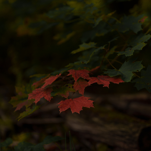 Photo #14093824