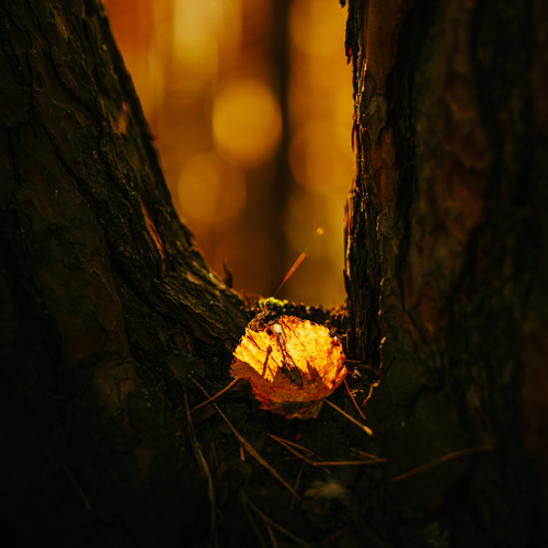 Photo #14093825