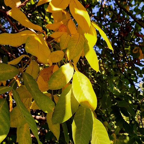 Photo #14093833
