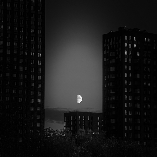Фотография #14093893